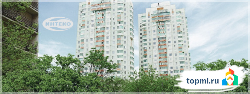 Интеко