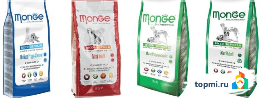 Монжи – Monge