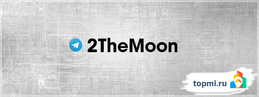 2TheMoon